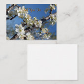 Pflaumenzweig im Frühjahr Mitteilungskarte (Vorne/Hinten)
