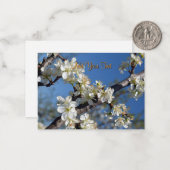 Pflaumenzweig im Frühjahr Mitteilungskarte (Vorderseite/Rückseite Beispiel)