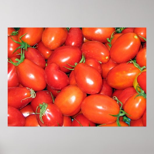 PflauschTomaten Poster (Vorne)