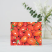 PflauschTomaten Postkarte (Stehend Vorderseite)