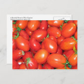 PflauschTomaten Postkarte (Vorne/Hinten)