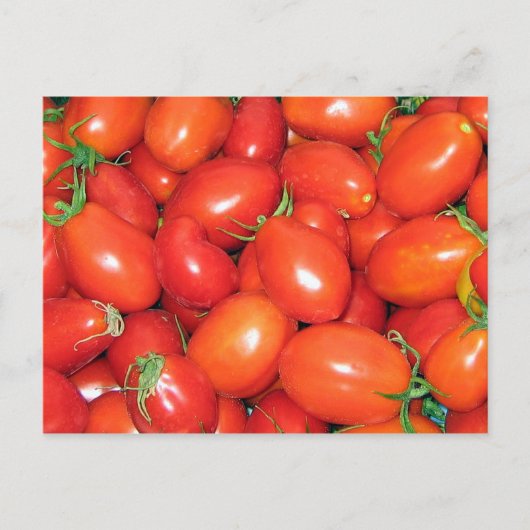 PflauschTomaten Postkarte (Vorderseite)