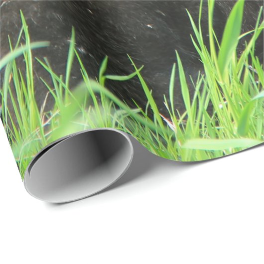 Pflege des schwarzen Bären und der Zwillingsjungen Geschenkpapier (Rolleneckpunkt)