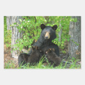 Pflege des schwarzen Bären und der Zwillingsjungen Geschenkpapier Set (Vorderseite 3)