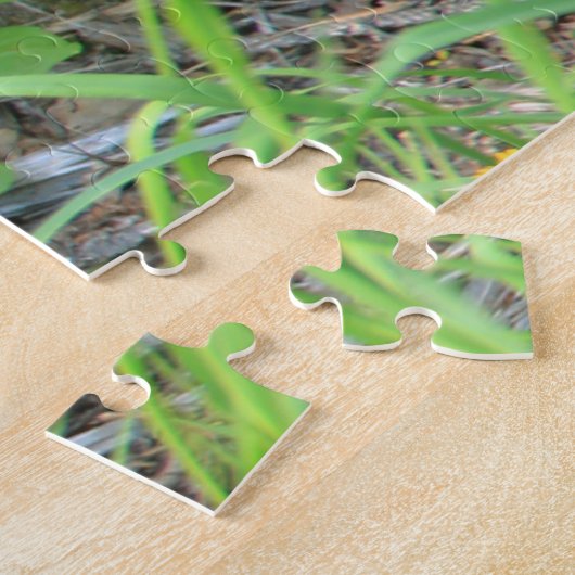 Pflege des schwarzen Bären und der Zwillingsjungen Puzzle (Seite)