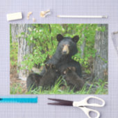 Pflege des schwarzen Bären und der Zwillingsjungen Seidenpapier (Handwerk)