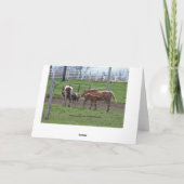 Pflegefohlen Karte (Rückseite)