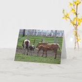 Pflegefohlen Karte (Gelbe Blume)