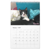 Pflegekalender des kätzchen-2019 kalender (Feb 2027)