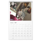 Pflegekalender des kätzchen-2019 kalender (Jan 2027)