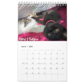 Pflegekalender des kätzchen-2019 kalender (Mär 2027)