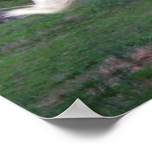 Pflegekostenfrei Poster (Ecke)