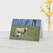 Pflegelamm Karte (Gelbe Blume)