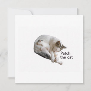 PFLEGEN SIE DIE KATZE UND IHRE KÜCHE