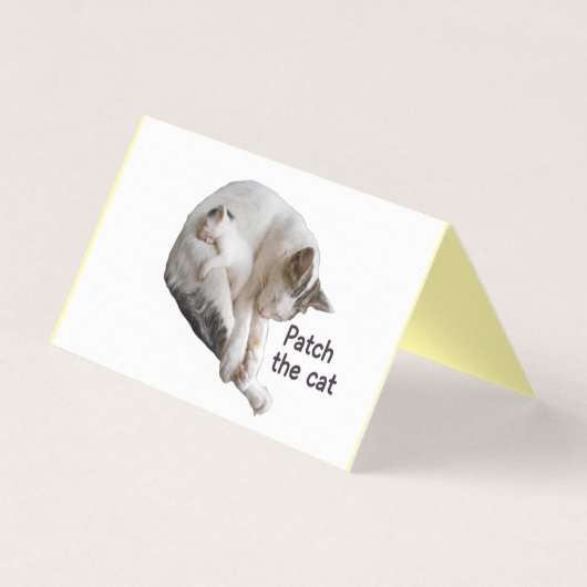 PFLEGEN SIE DIE KATZE UND IHRE KÜCHE (Vorderseite)