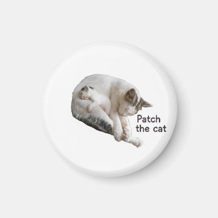 PFLEGEN SIE DIE KATZE UND IHRE KÜCHE MAGNET