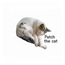 PFLEGEN SIE DIE KATZE UND IHRE KÜCHE