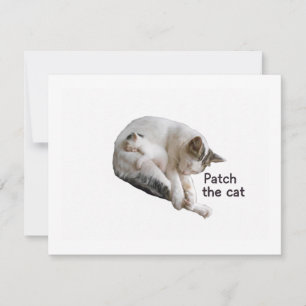 PFLEGEN SIE DIE KATZE UND IHRE KÜCHE RSVP KARTE