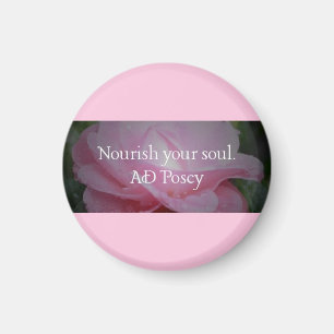 Pflegen Sie Ihr Soul Office Magnet