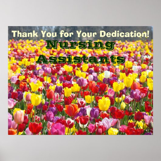 Pflegenassistenten-Wochenplakate Dank-Widmung Poster (Vorne)