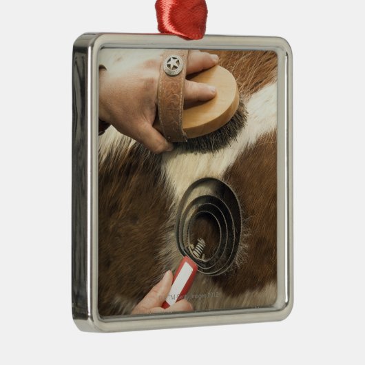 Pflegenpferd Silbernes Ornament (Rechts)