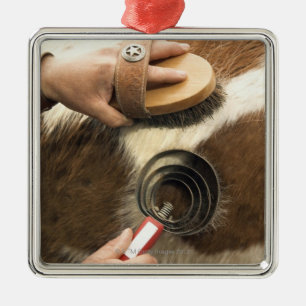 Pflegenpferd Silbernes Ornament