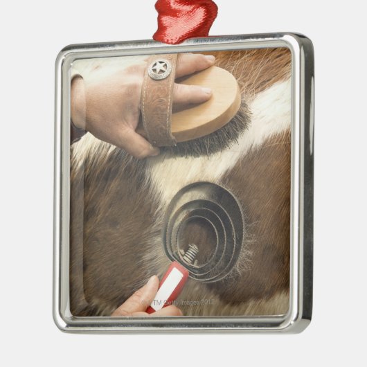 Pflegenpferd Silbernes Ornament (Links)