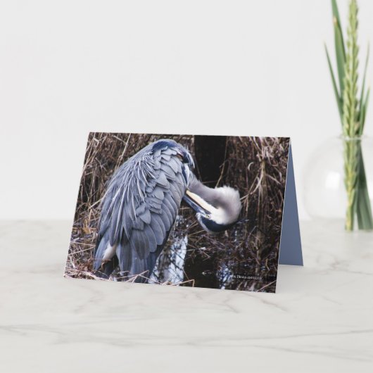 Pflegenreiher Karte (Vorderseite)