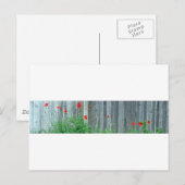 Pflücke an einer Wand Postkarte (Vorne/Hinten)