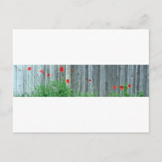 Pflücke an einer Wand Postkarte