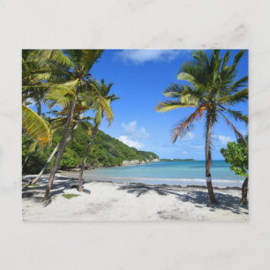 Pflücke de Guadeloupe Postkarte