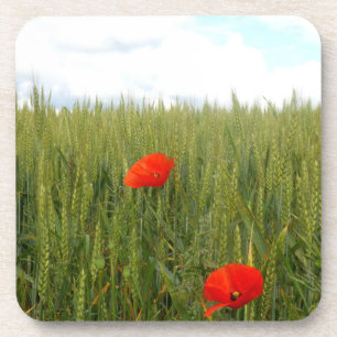 Pflücke in einem harten Untersetzer aus Weizenfeld