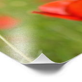 Pflücke in einem Mohnfeld-Foto Fotodruck (Ecke)