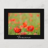 Pflücke in schwarzem Text der Toskana Postkarte (Vorderseite)