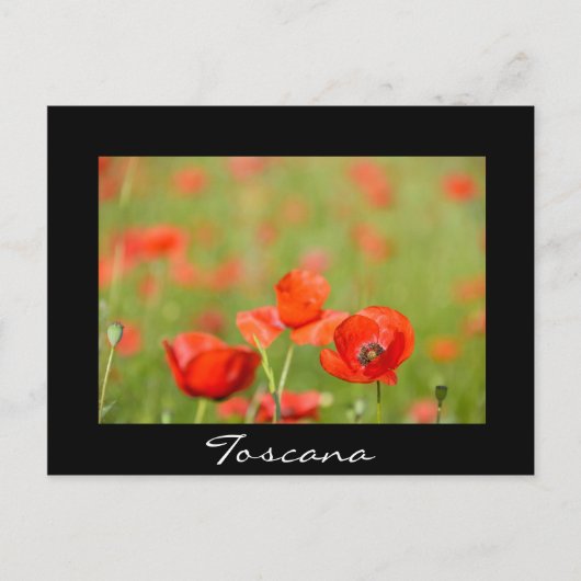 Pflücke in schwarzem Text der Toskana Postkarte (Vorderseite)