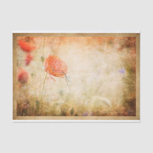 Pflücke und Libellen auf wittertem Hintergrund Seidenpapier (Vorderseite)