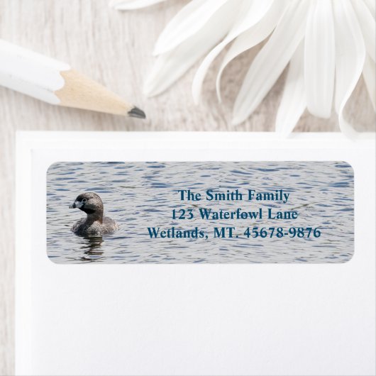 Pflückenkraut-Rücksendeadresse (Insitu)