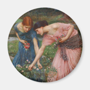 Pflückt Rosenknospen von John W. Waterhouse Magnet