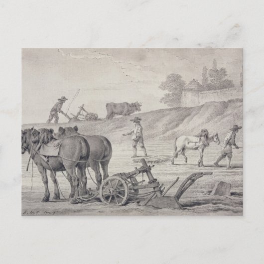 Pflügen der Felder Postkarte (Vorderseite)