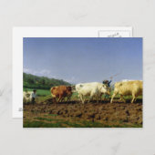 Pflügen in Nivernais, 1849 Postkarte (Vorne/Hinten)