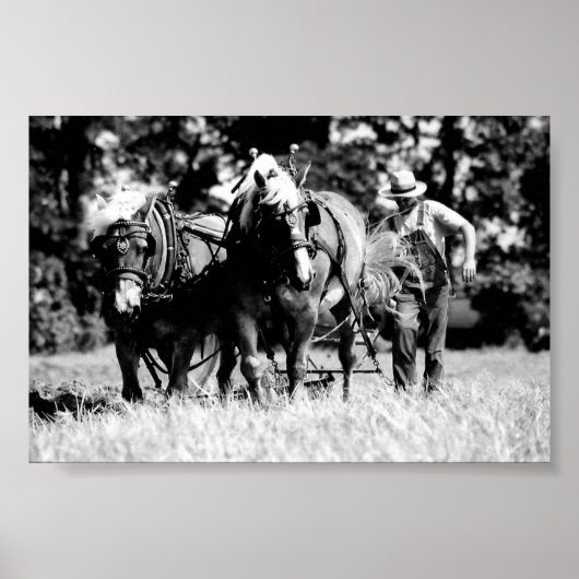 Pflügen Poster (Vorne)