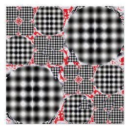 Pflügter Staat der amerikanischen Demokratie Poster