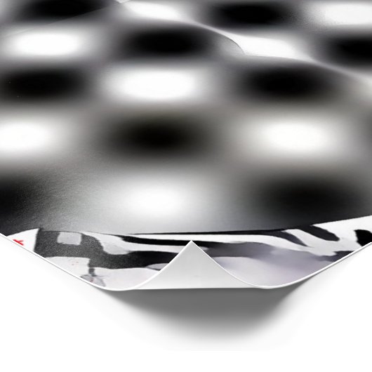 Pflügter Staat der amerikanischen Demokratie Poster (Ecke)