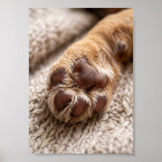 Pfoten-Foto individuell 5 auf 7 Foto Haustier-Ande Poster