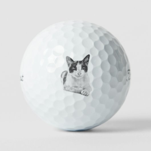 Pfoten-Halfton Golfball (Vorderseite)