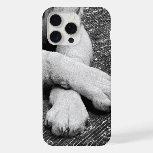 Pfoten iPhone Hülle (Rückseite)