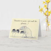 Pfoten und riechen die Blume - Gruß Karte (Gelbe Blume)