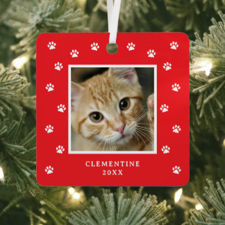 Pfotenabdruck Haustier Foto Weihnachten Ornament Aus Metall