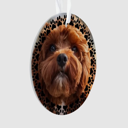 Pfotenabdrücke & Herzen Individuelles Haustier-Fot Ornament (Vorderseite)