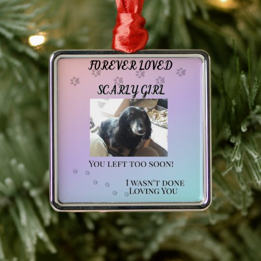 Pfotenabdrücke quer durch den Regenbogen-Tribut Ornament Aus Metall (Baum)